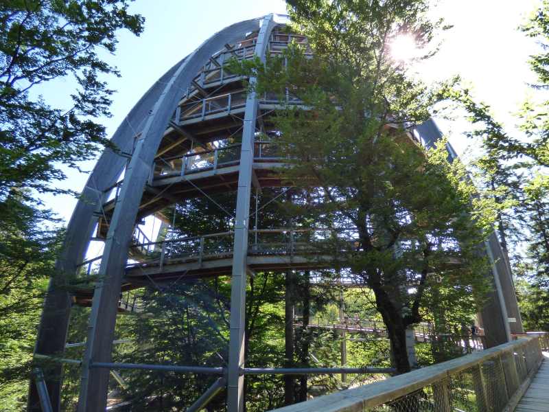 Bayerische Wald 2017