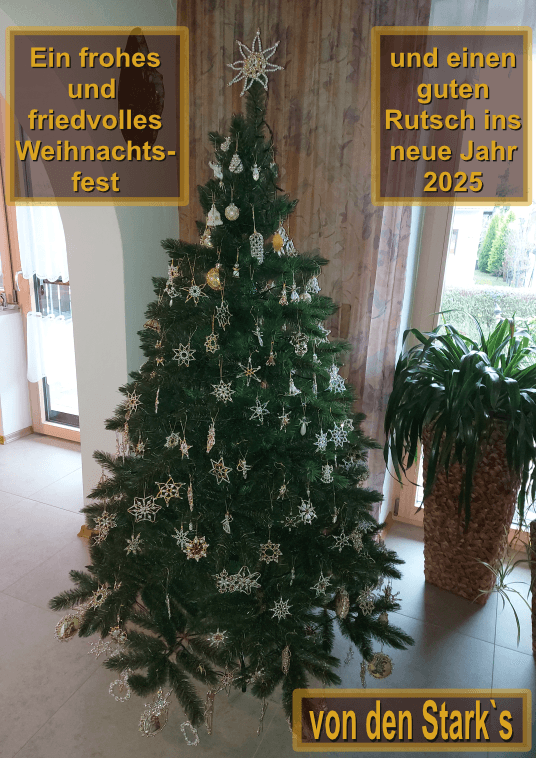 Frohe Weihnachten und ein gutes neues Jahr 2025