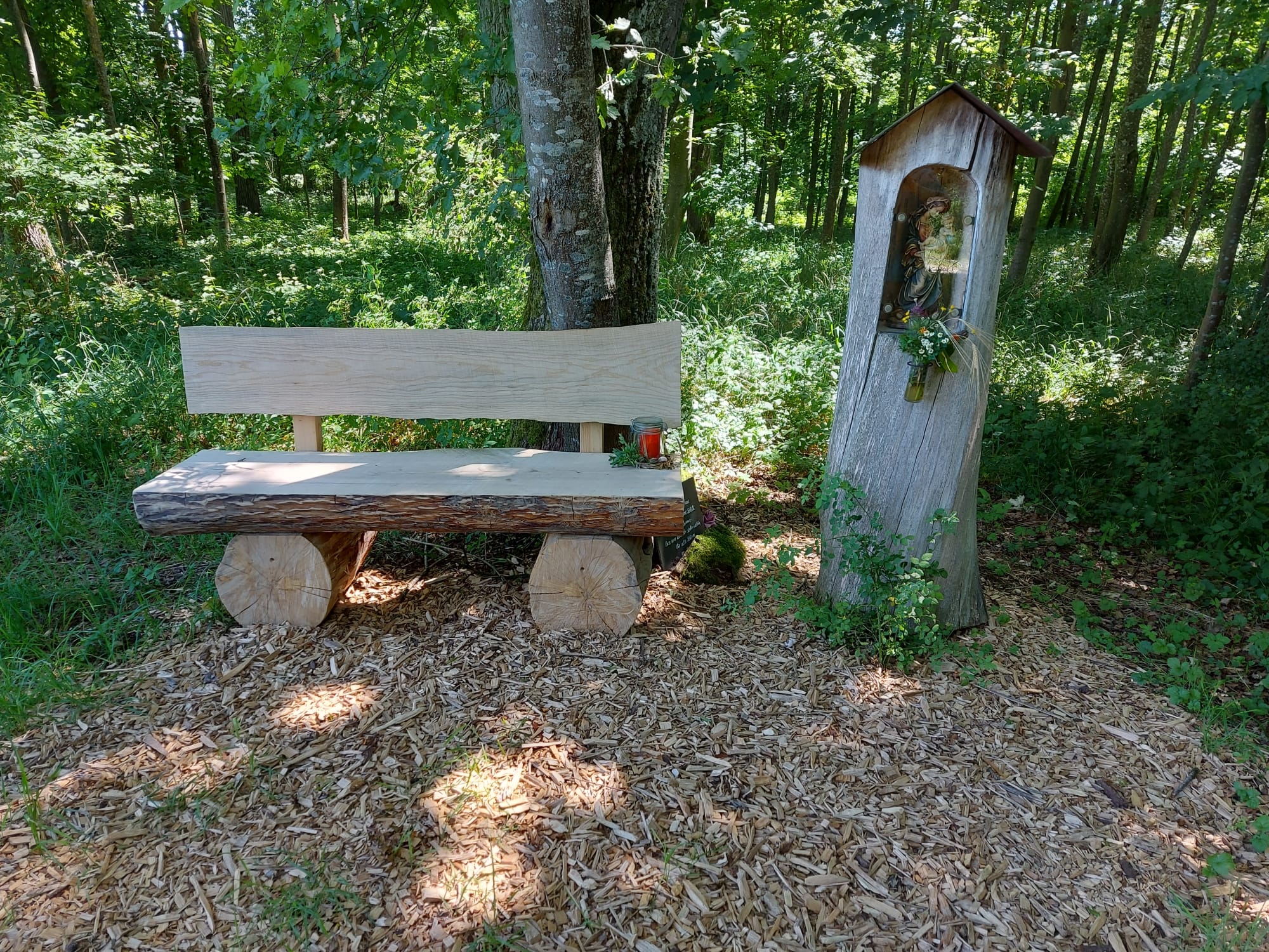 Mit dem Rad durch den Gerolfinger Eichenwald