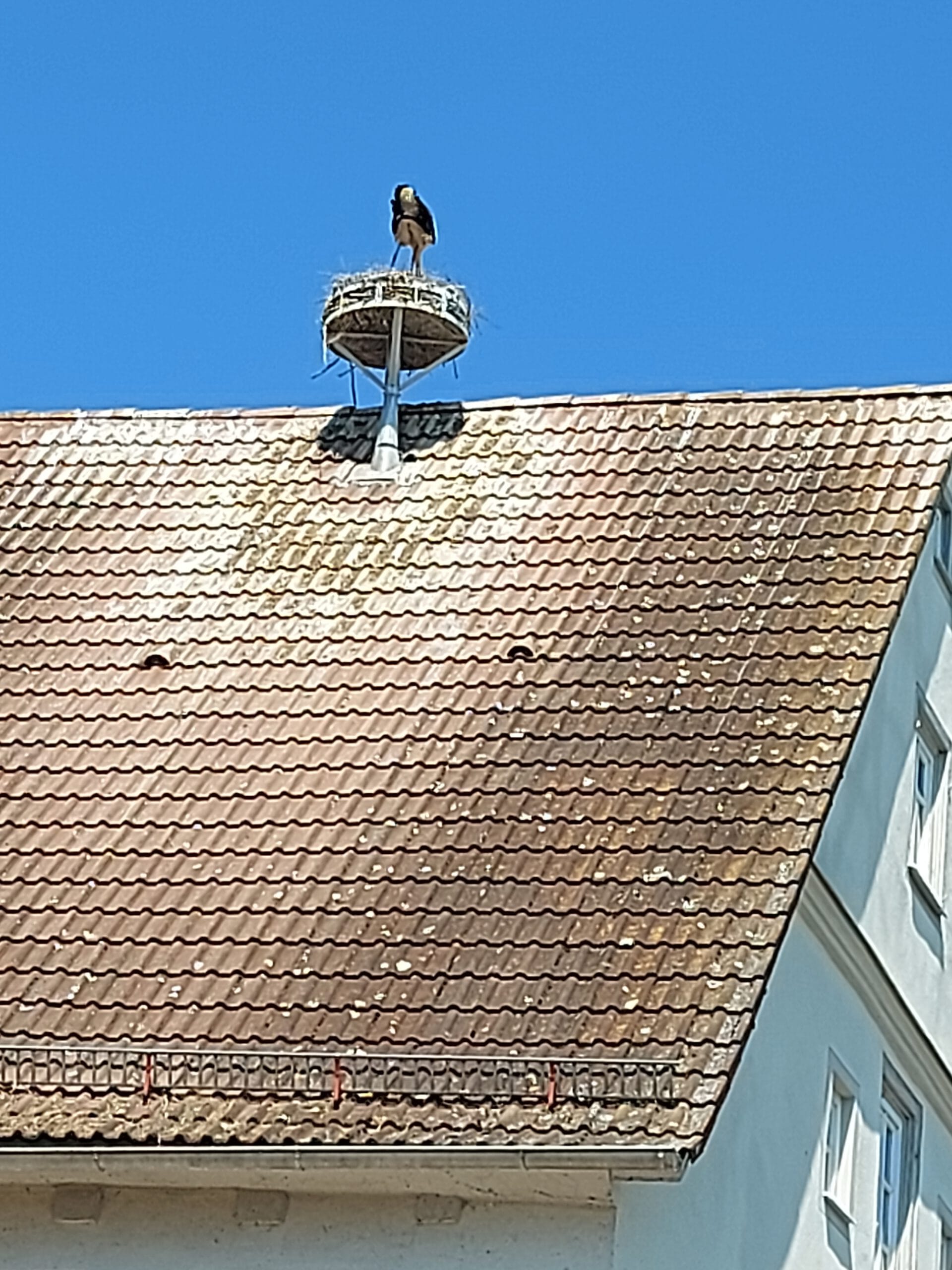 Wemding und Ottingen